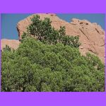 Garden Of The Gods.jpg